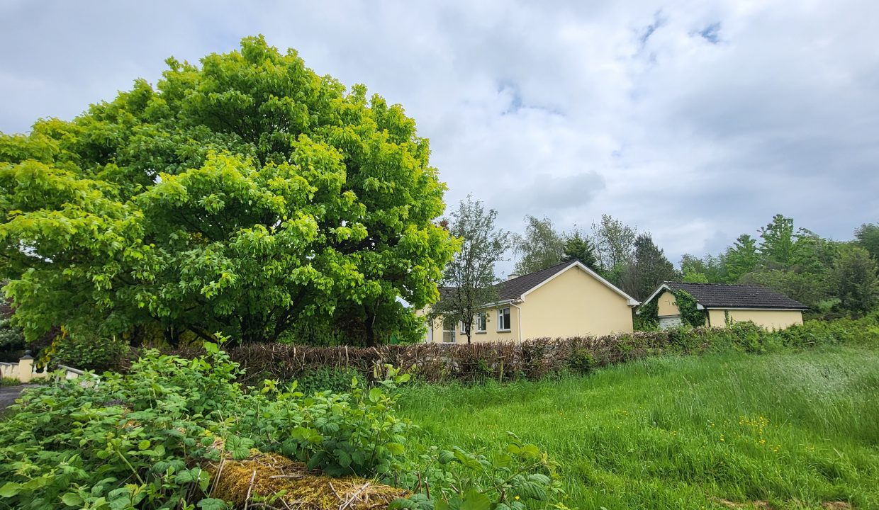 4 Bed Bungalow, Moyglass