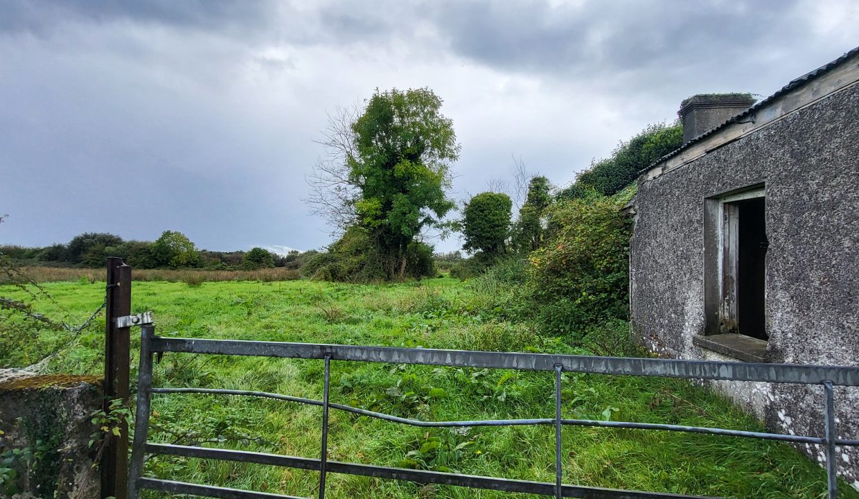 Derelict cottage on .75 acre, Kilmurtagh