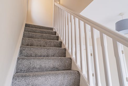 Strokestown_House_02-66